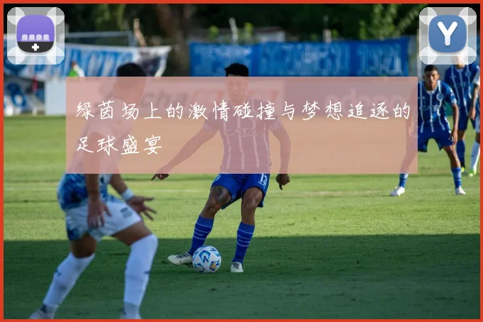 绿茵场上的激情碰撞与梦想追逐的足球盛宴
