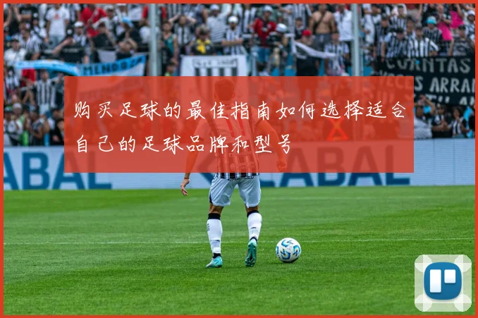 购买足球的最佳指南如何选择适合自己的足球品牌和型号