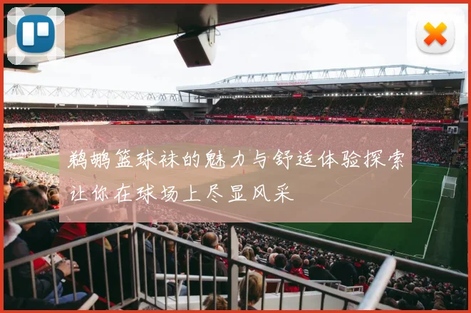 鹈鹕篮球袜的魅力与舒适体验探索让你在球场上尽显风采