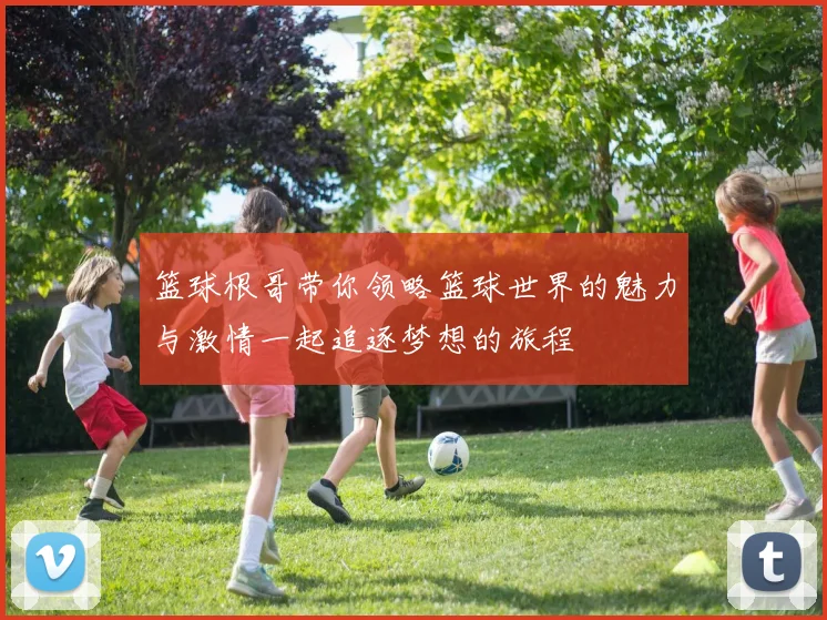 篮球根哥带你领略篮球世界的魅力与激情一起追逐梦想的旅程