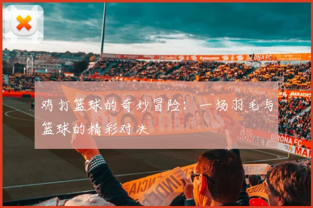 鸡打篮球的奇妙冒险：一场羽毛与篮球的精彩对决